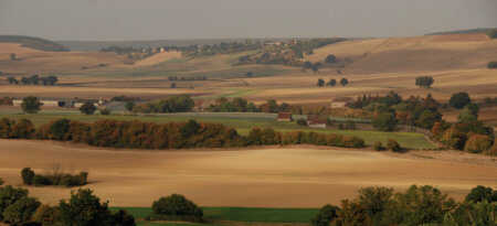 Garnier et Fils Vigne